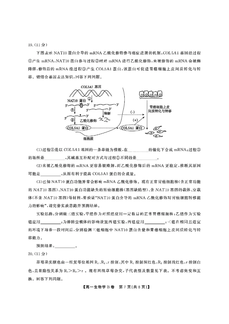 安徽省江淮协作区2024-2025学年高一下学期期末考试生物（B）含答案_2024-2025高一（7-7月题库）_2025年7月_250713安徽省江淮协作区2024-2025学年高一下学期期末联合监测