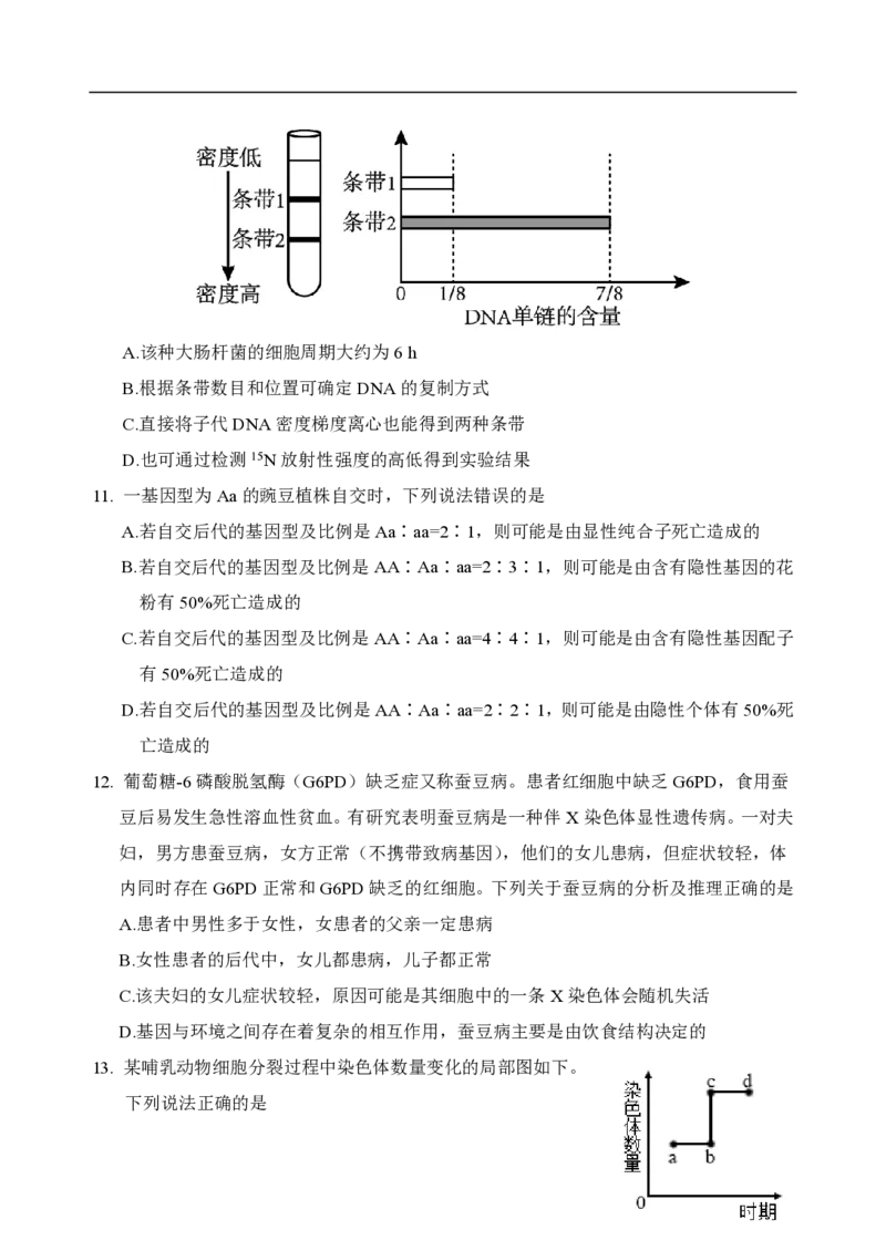 山东省泰安市肥城市2024-2025学年高一下学期期中考试生物试卷（含答案）_2024-2025高一（7-7月题库）_2025年05月试卷_0530山东省泰安市肥城市2024-2025学年高一下学期期中考试