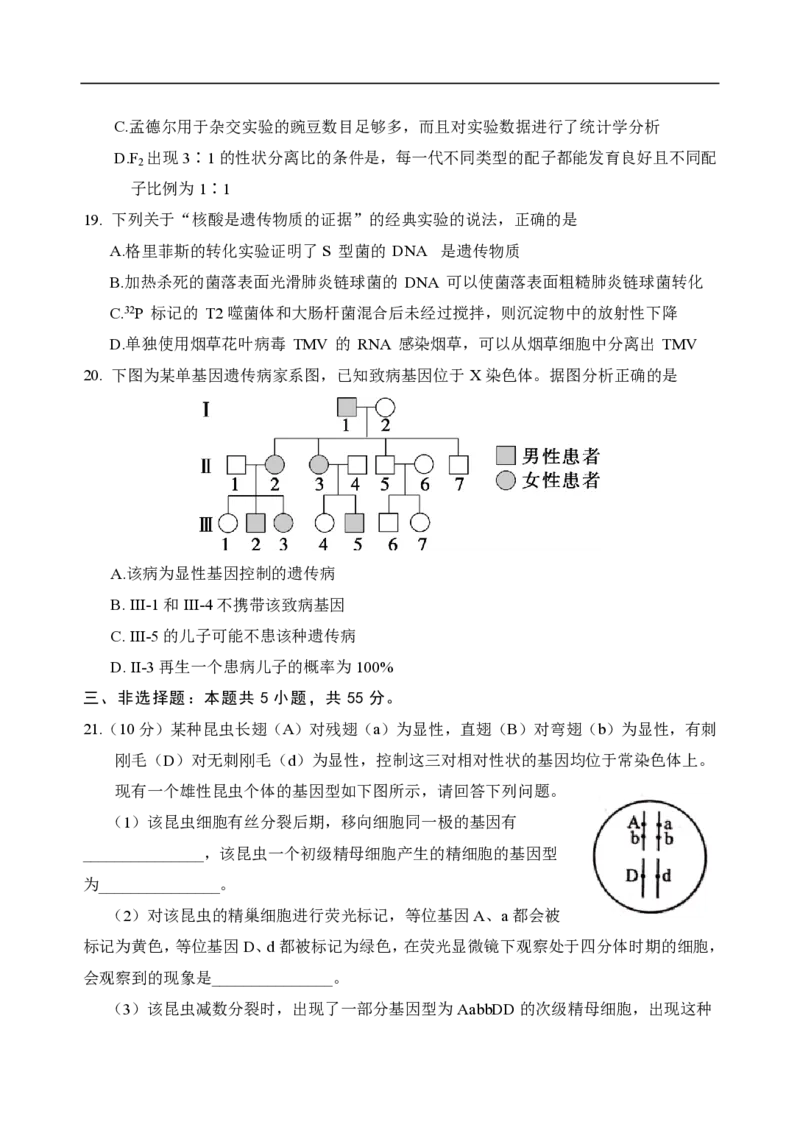 山东省泰安市肥城市2024-2025学年高一下学期期中考试生物试卷（含答案）_2024-2025高一（7-7月题库）_2025年05月试卷_0530山东省泰安市肥城市2024-2025学年高一下学期期中考试