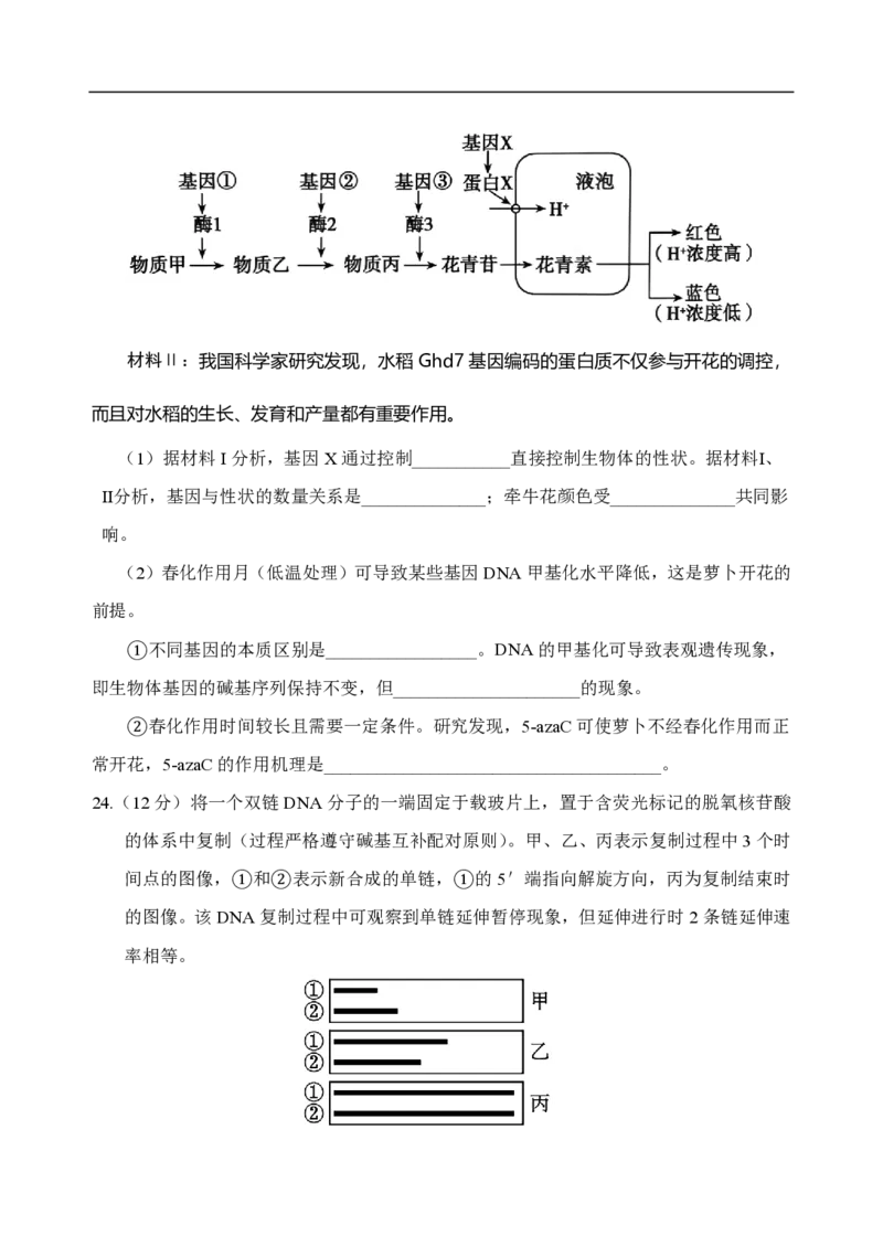 山东省泰安市肥城市2024-2025学年高一下学期期中考试生物试卷（含答案）_2024-2025高一（7-7月题库）_2025年05月试卷_0530山东省泰安市肥城市2024-2025学年高一下学期期中考试