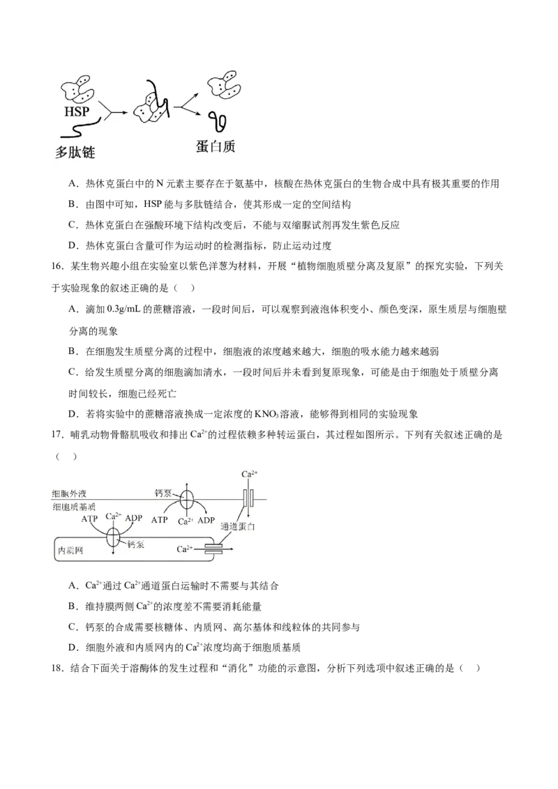 河北省保定市六校联盟2025-2026学年高一上学期期中联考试题生物Word版含答案_2024-2025高一（7-7月题库）_2026年1月高一_260104河北省保定市六校联盟2025-2026学年高一上学期期中联考试题