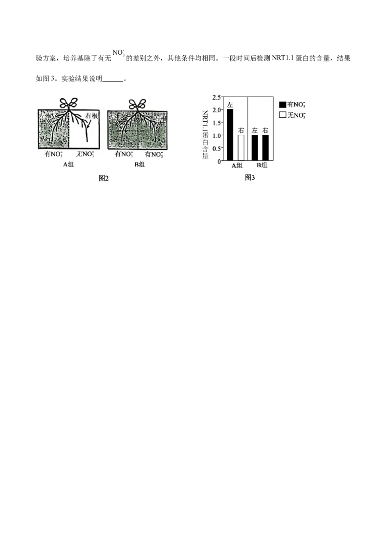 河北省保定市六校联盟2025-2026学年高一上学期期中联考试题生物Word版含答案_2024-2025高一（7-7月题库）_2026年1月高一_260104河北省保定市六校联盟2025-2026学年高一上学期期中联考试题
