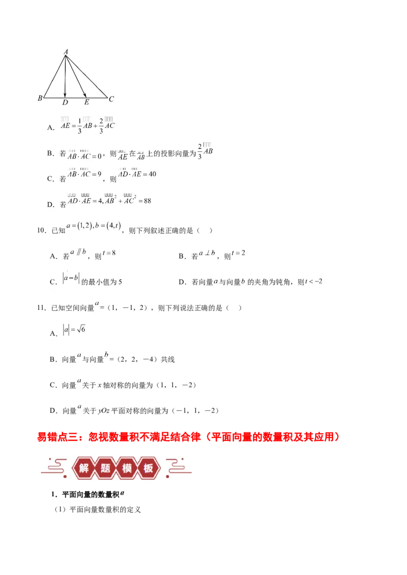 专题07平面向量（3大易错点分析+解题模板+举一反三+易错题通关）-备战2024年高考数学考试易错题（新高考专用）（原卷版）_2024年3月_02按日期_16号