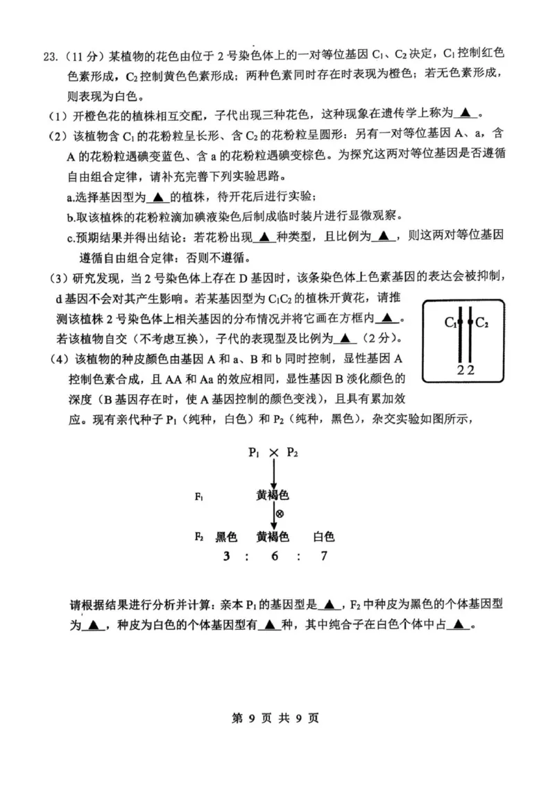 江苏省徐州市铜山区2024-2025学年高一下学期4月期中考试生物PDF版含答案_2024-2025高一（7-7月题库）_2025年05月试卷_0514江苏省徐州市铜山区2024-2025学年高一下学期4月期中考试
