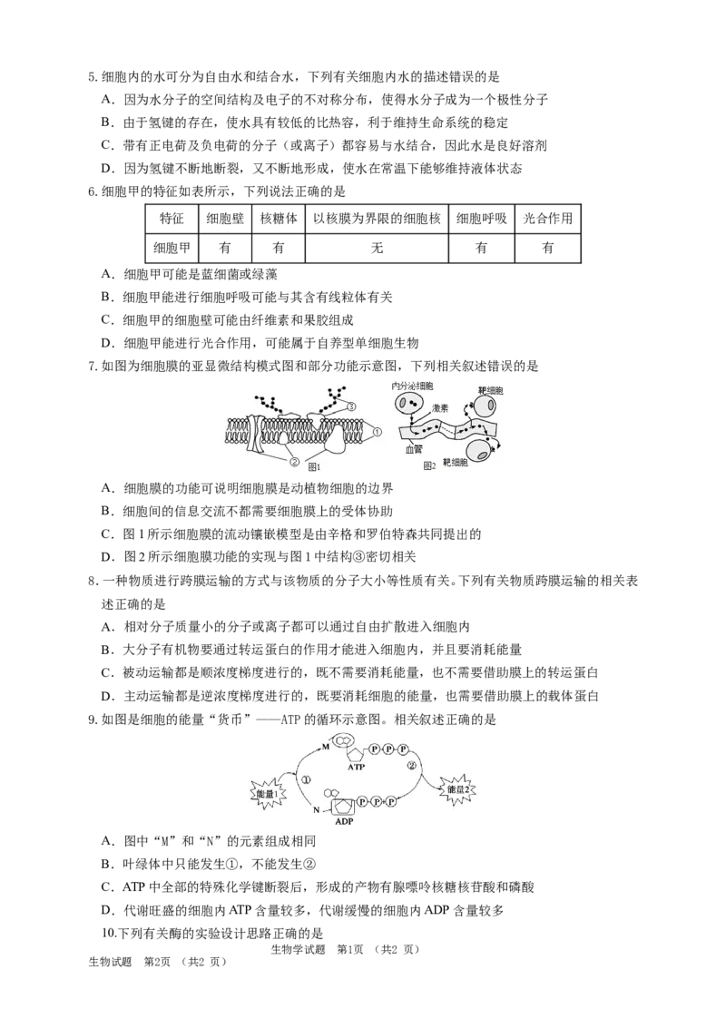 吉林省长春外国语学校2025-2026学年高一上学期期末考试生物试题（含答案）_2024-2025高一（7-7月题库）_2026年1月高一_260123吉林省长春外国语学校2025-2026学年高一上学期期末考试（全）