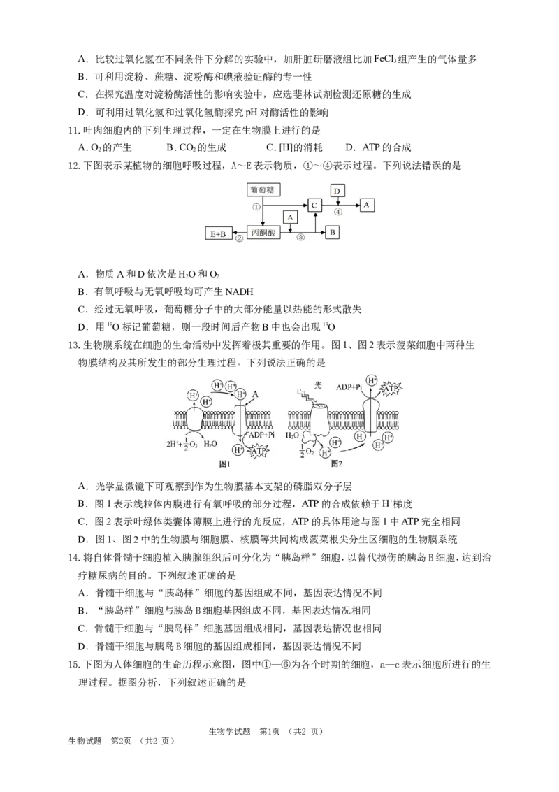 吉林省长春外国语学校2025-2026学年高一上学期期末考试生物试题（含答案）_2024-2025高一（7-7月题库）_2026年1月高一_260123吉林省长春外国语学校2025-2026学年高一上学期期末考试（全）