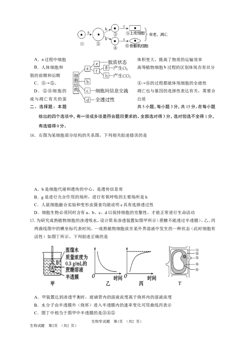 吉林省长春外国语学校2025-2026学年高一上学期期末考试生物试题（含答案）_2024-2025高一（7-7月题库）_2026年1月高一_260123吉林省长春外国语学校2025-2026学年高一上学期期末考试（全）