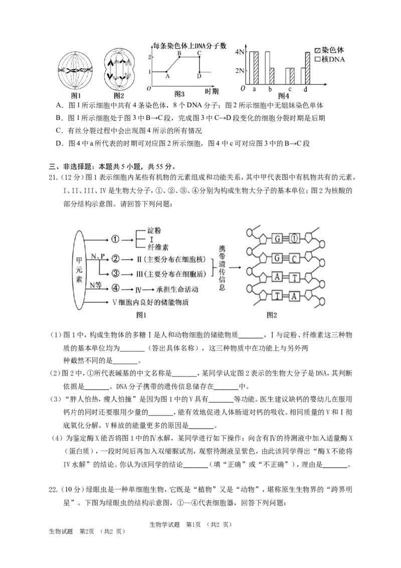 吉林省长春外国语学校2025-2026学年高一上学期期末考试生物试题（含答案）_2024-2025高一（7-7月题库）_2026年1月高一_260123吉林省长春外国语学校2025-2026学年高一上学期期末考试（全）