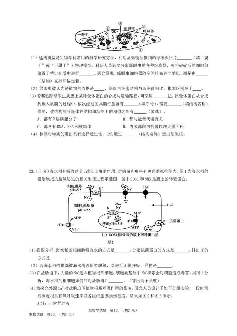 吉林省长春外国语学校2025-2026学年高一上学期期末考试生物试题（含答案）_2024-2025高一（7-7月题库）_2026年1月高一_260123吉林省长春外国语学校2025-2026学年高一上学期期末考试（全）