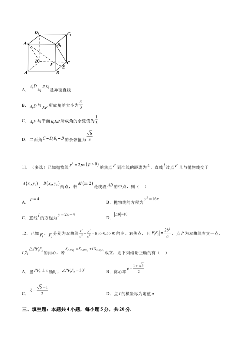 新高考地区高2024届高二（上）期中模拟试题二（原卷版）_E015高中全科试卷_数学试题_选修1_03.期中测试