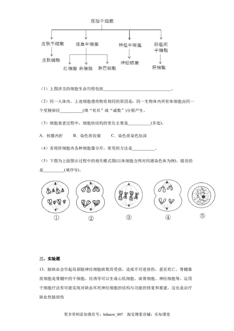 6.3细胞的衰老和死亡练习新教材人教版（2019）高中生物必修一_E015高中全科试卷_生物试题_必修1_2.同步练习_4.同步练习（第四套）