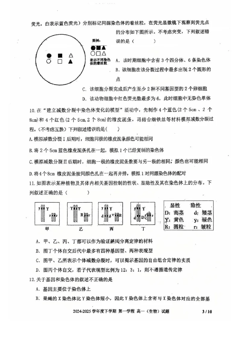 吉林省长春市十一高中2024-2025学年高一下学期4月第一学程考试生物试卷（扫描版，无答案）_2024-2025高一（7-7月题库）_2025年05月试卷