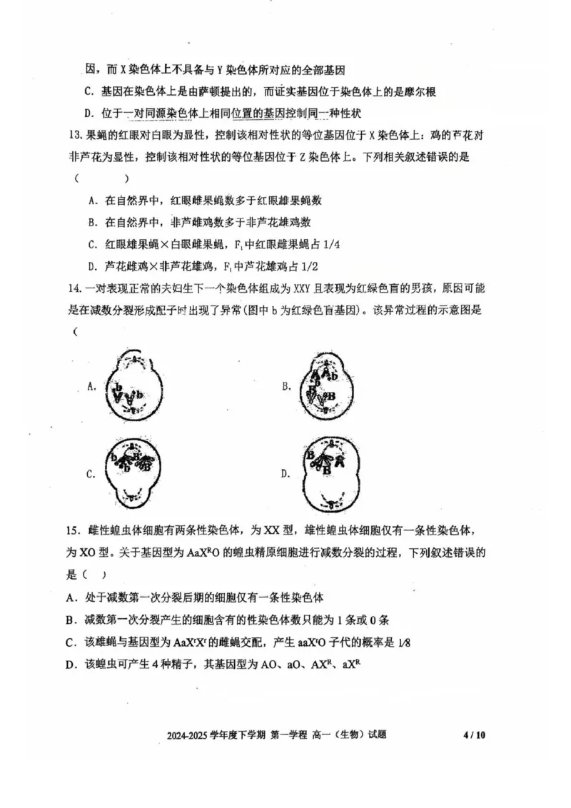 吉林省长春市十一高中2024-2025学年高一下学期4月第一学程考试生物试卷（扫描版，无答案）_2024-2025高一（7-7月题库）_2025年05月试卷