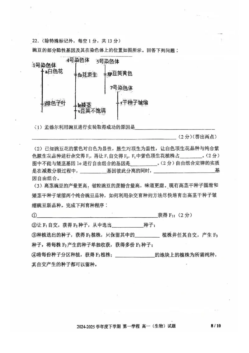 吉林省长春市十一高中2024-2025学年高一下学期4月第一学程考试生物试卷（扫描版，无答案）_2024-2025高一（7-7月题库）_2025年05月试卷