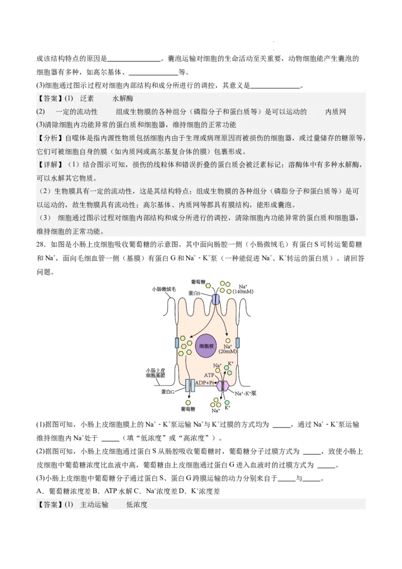 期末模拟卷02（全解全析）（人教版2019）_E015高中全科试卷_生物试题_必修1_4.期末试卷_高一生物期末模拟卷02（人教版2019）2023-2024学年高中生物上学期期末模拟考试
