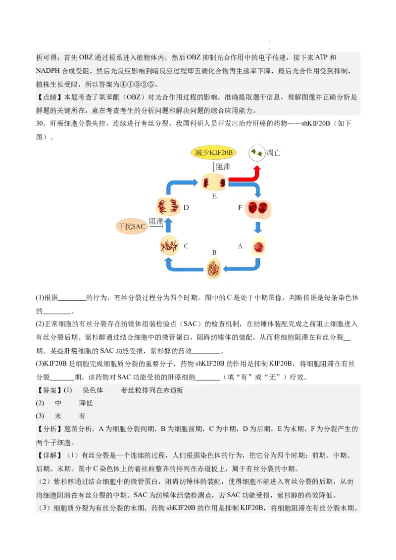 期末模拟卷02（全解全析）（人教版2019）_E015高中全科试卷_生物试题_必修1_4.期末试卷_高一生物期末模拟卷02（人教版2019）2023-2024学年高中生物上学期期末模拟考试