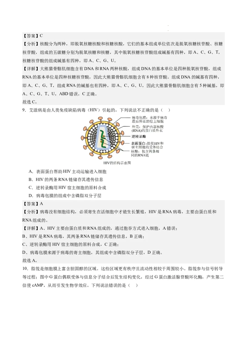 期末模拟卷02（全解全析）（人教版2019）_E015高中全科试卷_生物试题_必修1_4.期末试卷_高一生物期末模拟卷02（人教版2019）2023-2024学年高中生物上学期期末模拟考试