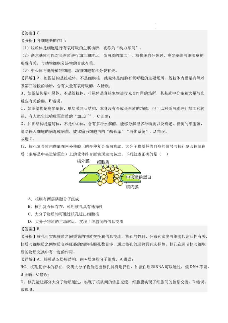 期末模拟卷02（全解全析）（人教版2019）_E015高中全科试卷_生物试题_必修1_4.期末试卷_高一生物期末模拟卷02（人教版2019）2023-2024学年高中生物上学期期末模拟考试