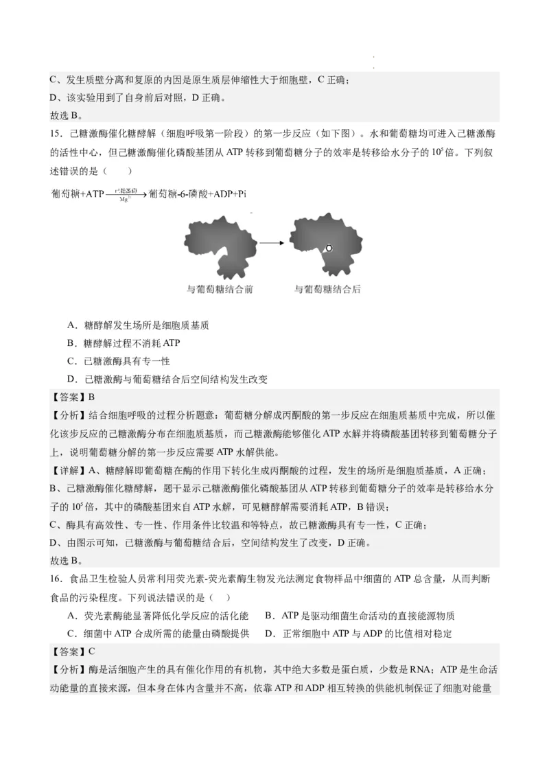 期末模拟卷02（全解全析）（人教版2019）_E015高中全科试卷_生物试题_必修1_4.期末试卷_高一生物期末模拟卷02（人教版2019）2023-2024学年高中生物上学期期末模拟考试