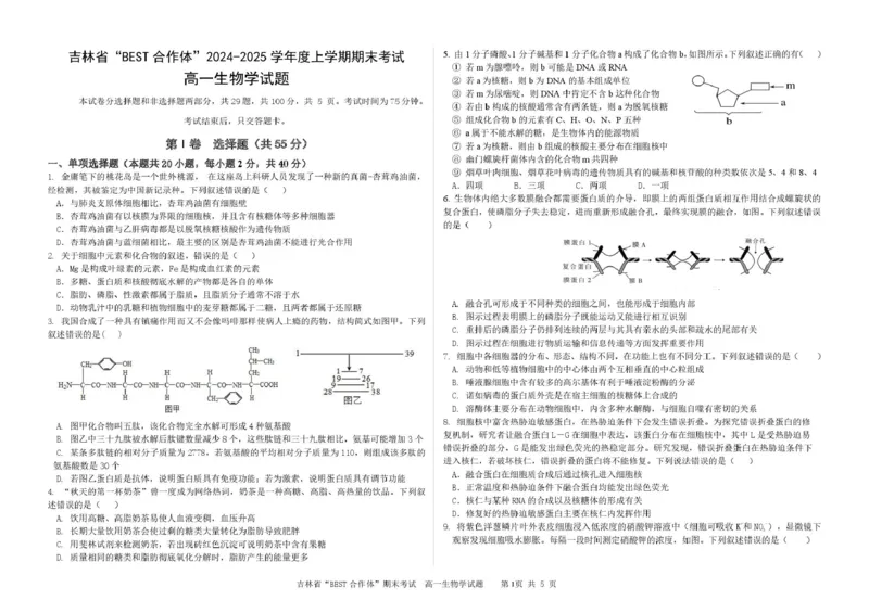 吉林省&ldquo;BEST合作体&rdquo;2024-2025学年高一上学期期末考试生物PDF版含答案_2024-2025高一（7-7月题库）_2025年01月试卷_0115吉林省&ldquo;BEST合作体&rdquo;2024-2025学年高一上学期期末考试