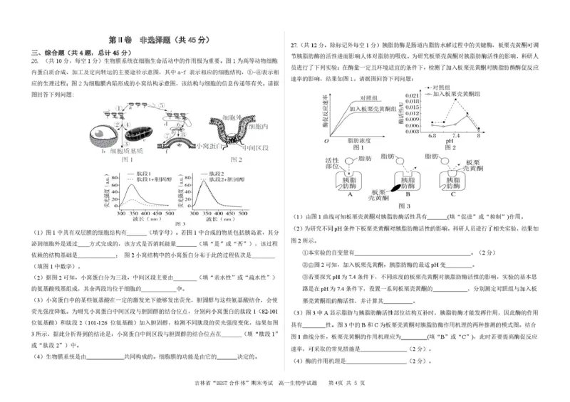 吉林省&ldquo;BEST合作体&rdquo;2024-2025学年高一上学期期末考试生物PDF版含答案_2024-2025高一（7-7月题库）_2025年01月试卷_0115吉林省&ldquo;BEST合作体&rdquo;2024-2025学年高一上学期期末考试