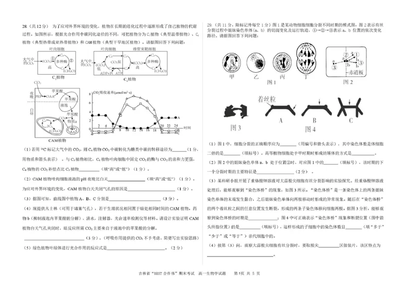 吉林省&ldquo;BEST合作体&rdquo;2024-2025学年高一上学期期末考试生物PDF版含答案_2024-2025高一（7-7月题库）_2025年01月试卷_0115吉林省&ldquo;BEST合作体&rdquo;2024-2025学年高一上学期期末考试