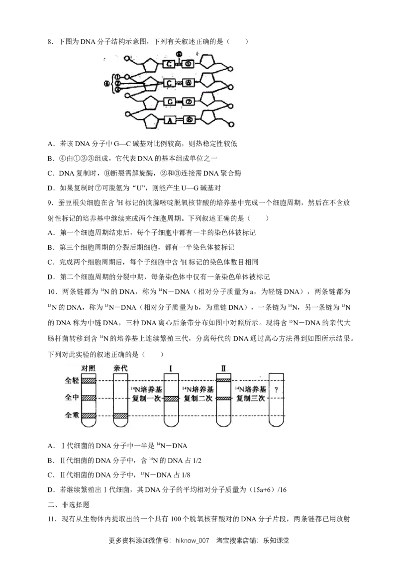 新教材精创3.3DNA的复制练习（2）（原卷版）_E015高中全科试卷_生物试题_必修2_2.同步练习_1、同步练习_新教材精创3.3DNA的复制练习（2）-人教版高中生物必修2遗传与进化