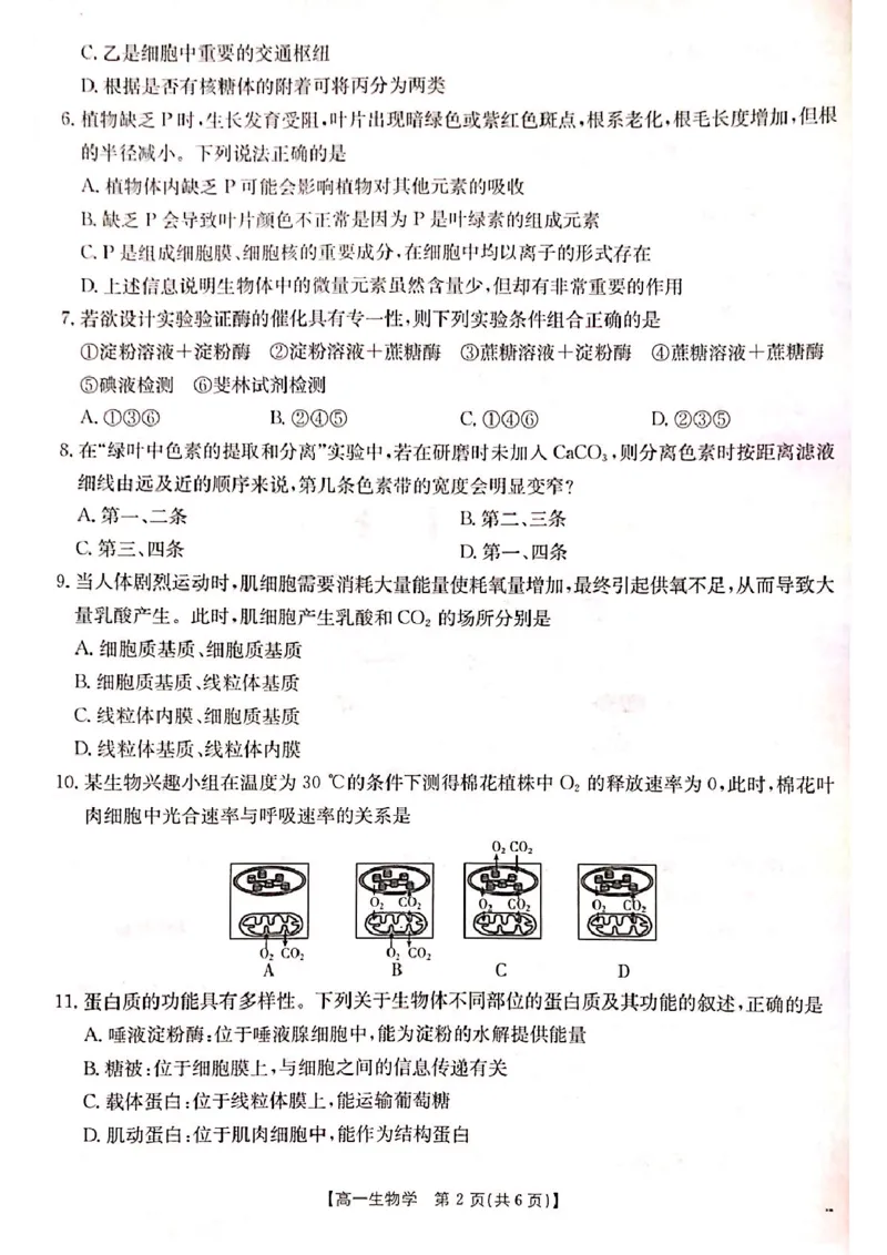 山西省晋城市2024-2025学年高一上学期1月期末考试生物PDF版含答案_2024-2025高一（7-7月题库）_2025年03月试卷_0312山西省晋城市2024-2025学年高一上学期1月期末考试