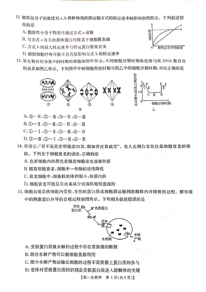 山西省晋城市2024-2025学年高一上学期1月期末考试生物PDF版含答案_2024-2025高一（7-7月题库）_2025年03月试卷_0312山西省晋城市2024-2025学年高一上学期1月期末考试