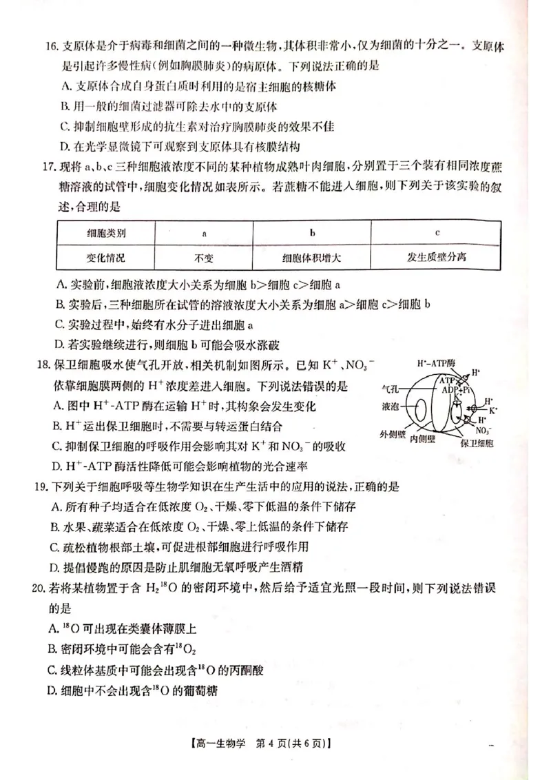 山西省晋城市2024-2025学年高一上学期1月期末考试生物PDF版含答案_2024-2025高一（7-7月题库）_2025年03月试卷_0312山西省晋城市2024-2025学年高一上学期1月期末考试