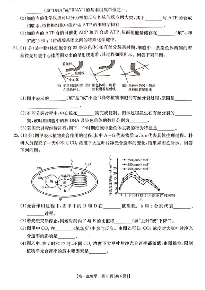 山西省晋城市2024-2025学年高一上学期1月期末考试生物PDF版含答案_2024-2025高一（7-7月题库）_2025年03月试卷_0312山西省晋城市2024-2025学年高一上学期1月期末考试