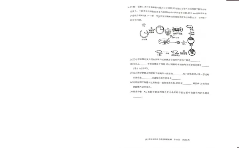 内蒙古呼和浩特市2024届高三下学期二模考试理综PDF版含答案(1)_2024年4月_024月合集_2024届内蒙古呼和浩特市高三下学期二模考试