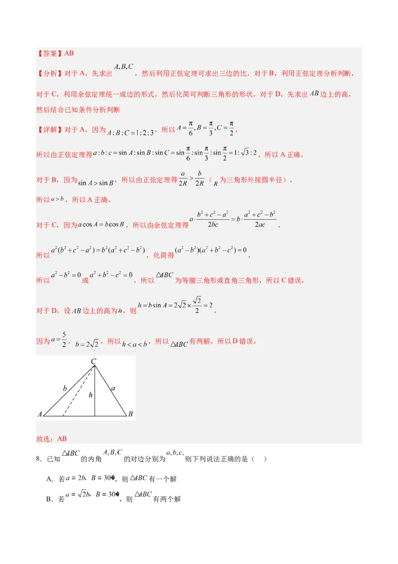 专题06解三角形及应用（3大易错点分析+解题模板+举一反三+易错题通关）-备战2024年高考数学考试易错题（新高考专用）（解析版）_2024年3月_02按日期_16号