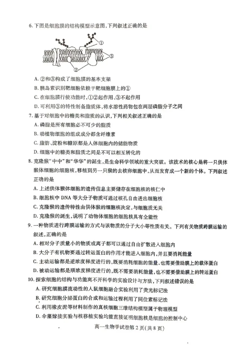 内江市2025-2026学年度第一学期高一期末检测题生物_2024-2025高一（7-7月题库）_2026年1月高一_260130四川省内江市2025-2026学年度第一学期高一期末检测题（全）