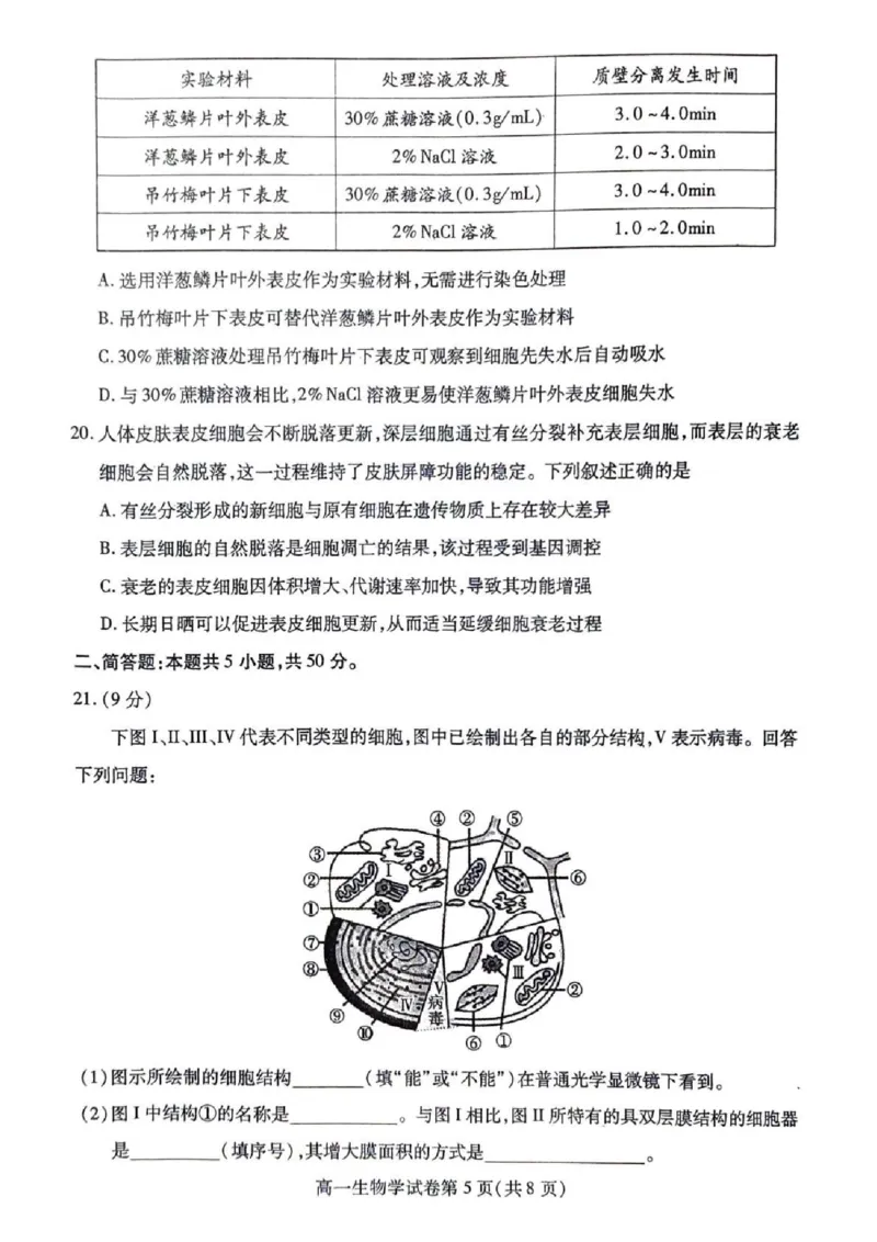 内江市2025-2026学年度第一学期高一期末检测题生物_2024-2025高一（7-7月题库）_2026年1月高一_260130四川省内江市2025-2026学年度第一学期高一期末检测题（全）