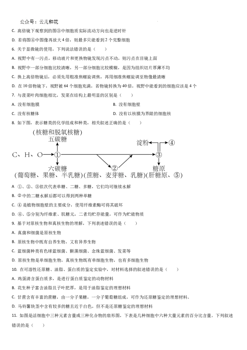 吉林省通化市梅河口市第五中学2024-2025学年高一上学期9月月考生物试题_2024-2025高一（7-7月题库）_2024年10月试卷_1004吉林省通化市梅河口市第五中学2024-2025学年高一上学期9月月考