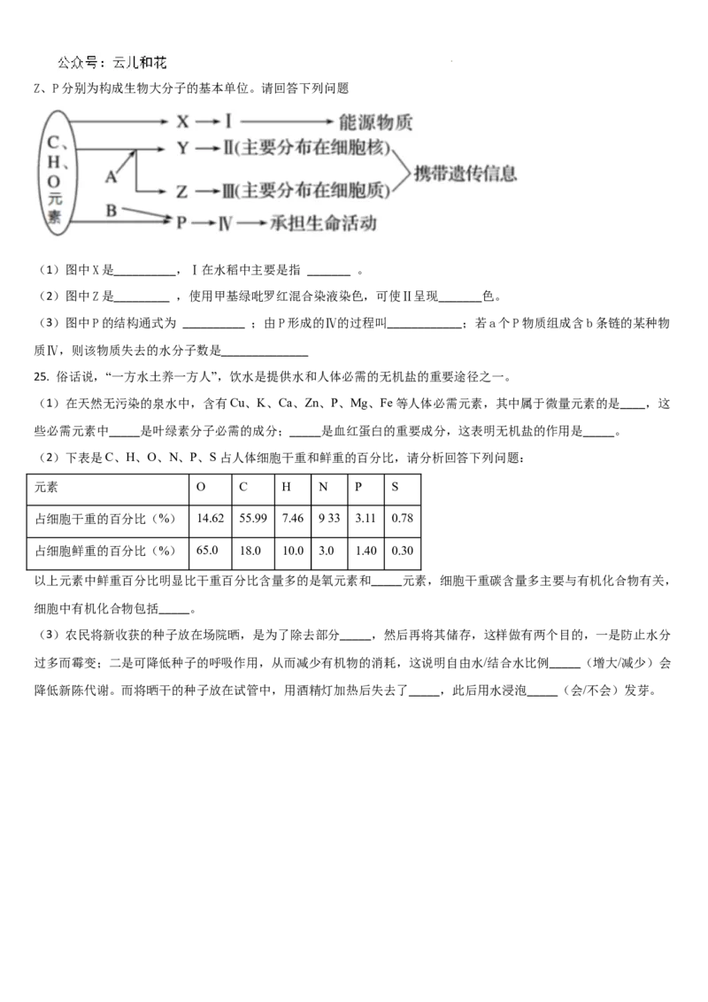 吉林省通化市梅河口市第五中学2024-2025学年高一上学期9月月考生物试题_2024-2025高一（7-7月题库）_2024年10月试卷_1004吉林省通化市梅河口市第五中学2024-2025学年高一上学期9月月考