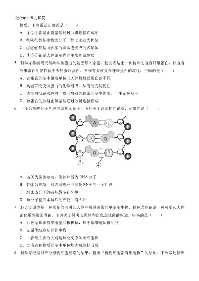 广西壮族自治区贵百河-武鸣高中2024-2025学年高一上学期10月月考试题生物Word版含解析_2024-2025高一（7-7月题库）_2024年11月试卷