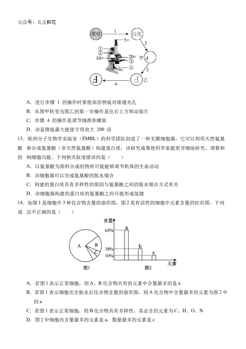 广西壮族自治区贵百河-武鸣高中2024-2025学年高一上学期10月月考试题生物Word版含解析_2024-2025高一（7-7月题库）_2024年11月试卷