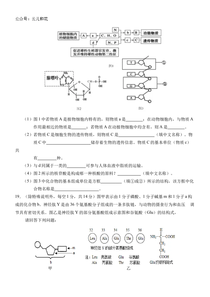 广西壮族自治区贵百河-武鸣高中2024-2025学年高一上学期10月月考试题生物Word版含解析_2024-2025高一（7-7月题库）_2024年11月试卷