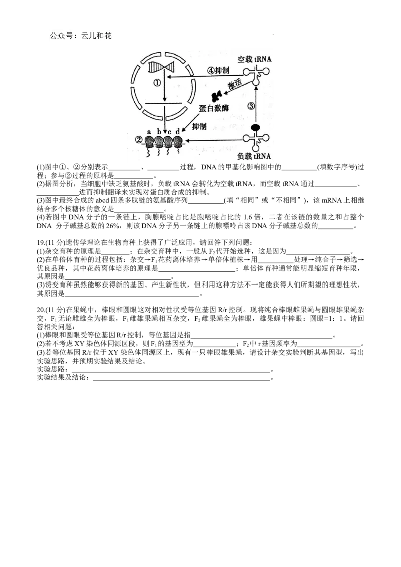 宣城市2023-2024学年度第二学期期末调研测试高一生物试题word版_2024-2025高一（7-7月题库）_2024年8月试卷_0815安徽省宣城市2023-2024学年高一下学期期末调研测试