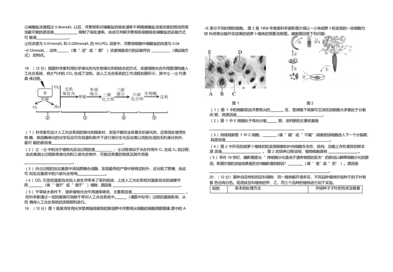 江西省上饶市弋阳县第一中学、横峰中学、铅山县第一中学2024-2025学年高一下学期4月月考生物试卷（有答案）_2024-2025高一（7-7月题库）_2025年05月试卷