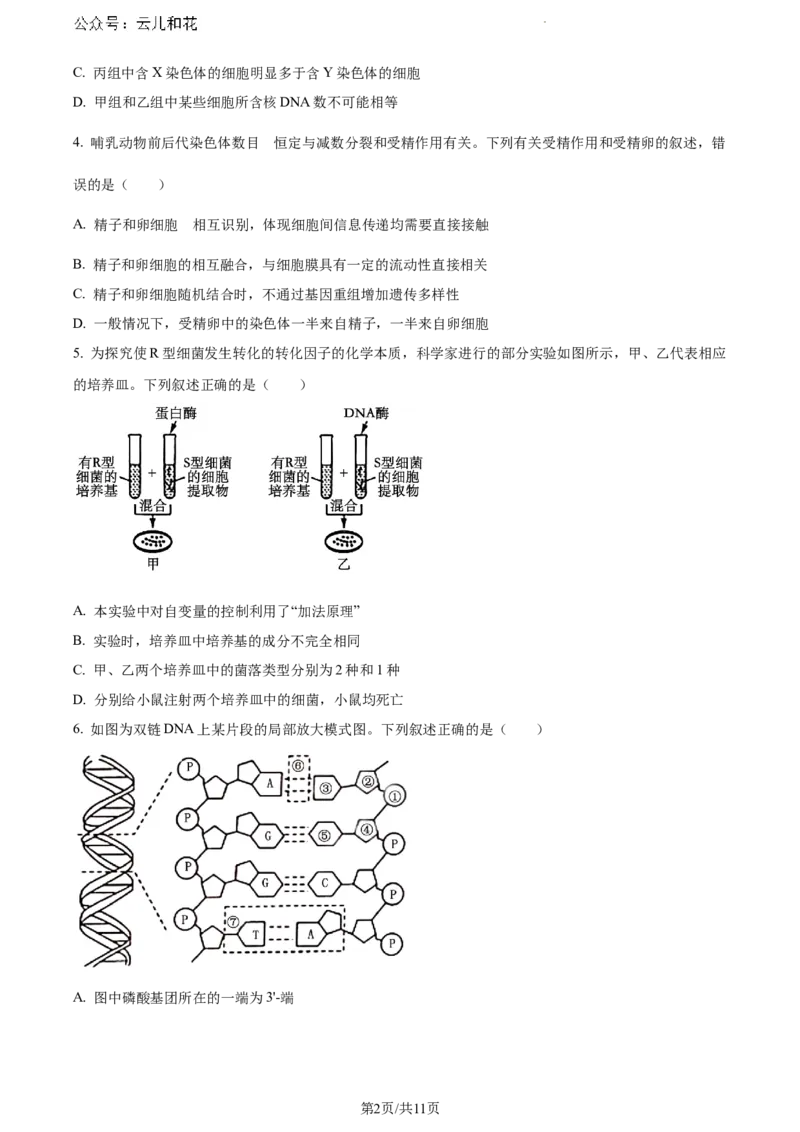 广西壮族自治区河池市2023-2024学年高一下学期7月期末生物试题_2024-2025高一（7-7月题库）_2024年7月试卷_0724广西河池市2023-2024学年高一下学期7月期末
