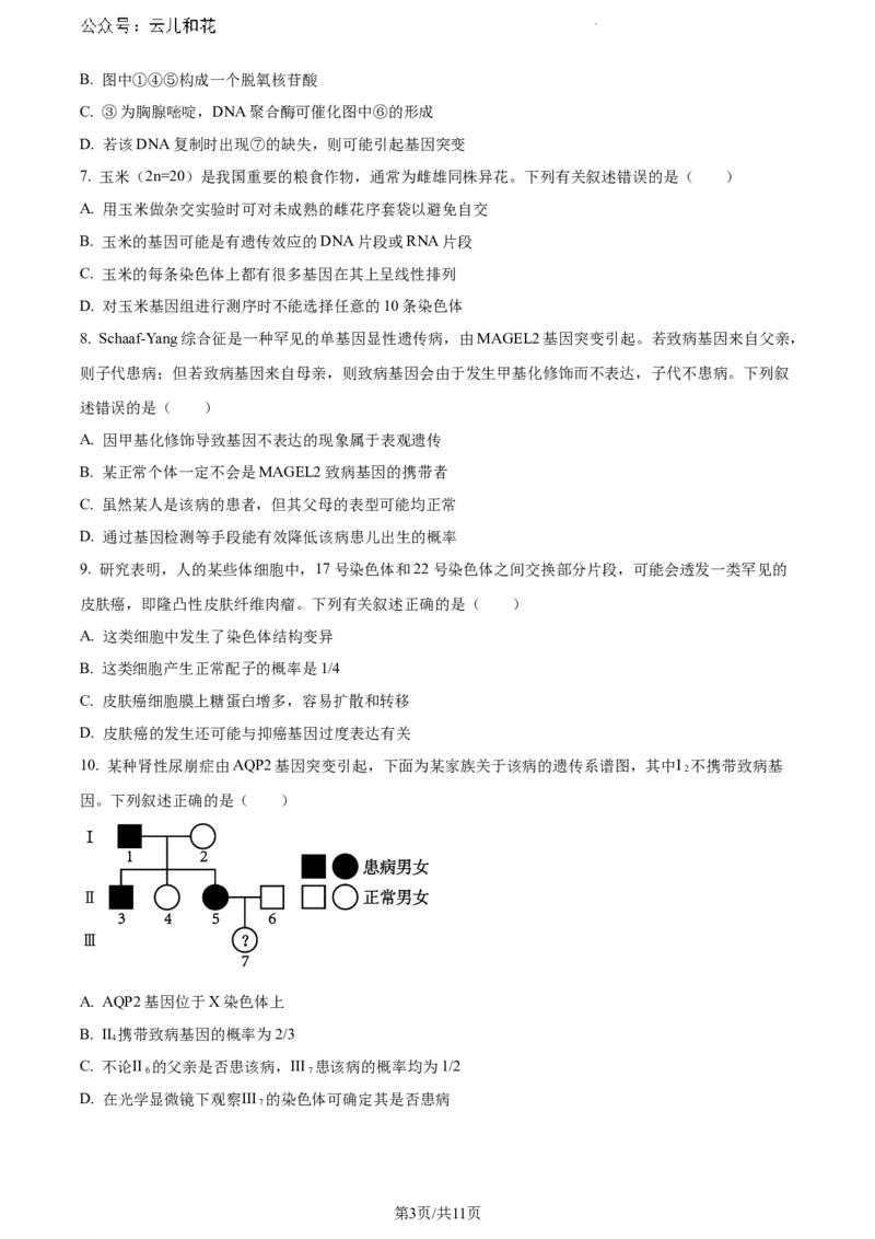 广西壮族自治区河池市2023-2024学年高一下学期7月期末生物试题_2024-2025高一（7-7月题库）_2024年7月试卷_0724广西河池市2023-2024学年高一下学期7月期末