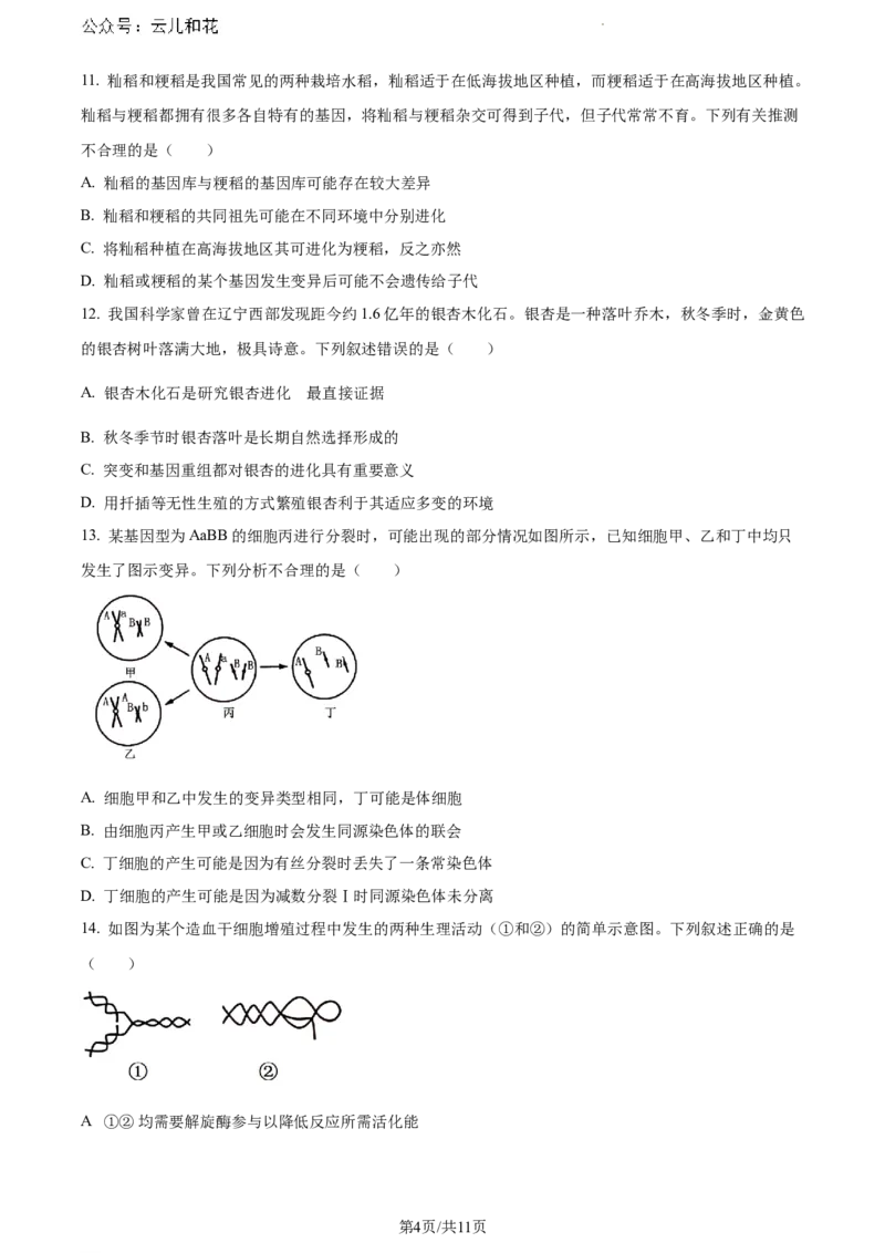广西壮族自治区河池市2023-2024学年高一下学期7月期末生物试题_2024-2025高一（7-7月题库）_2024年7月试卷_0724广西河池市2023-2024学年高一下学期7月期末