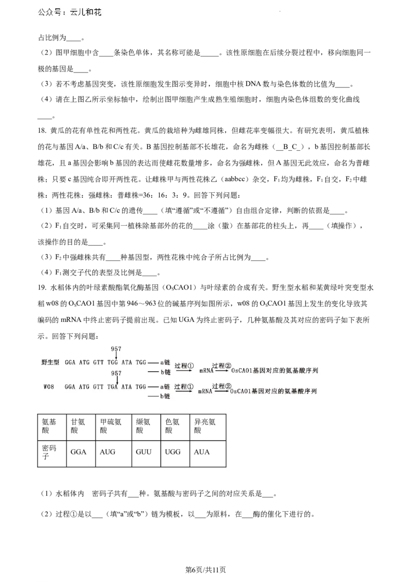 广西壮族自治区河池市2023-2024学年高一下学期7月期末生物试题_2024-2025高一（7-7月题库）_2024年7月试卷_0724广西河池市2023-2024学年高一下学期7月期末