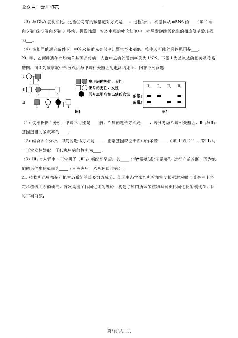 广西壮族自治区河池市2023-2024学年高一下学期7月期末生物试题_2024-2025高一（7-7月题库）_2024年7月试卷_0724广西河池市2023-2024学年高一下学期7月期末