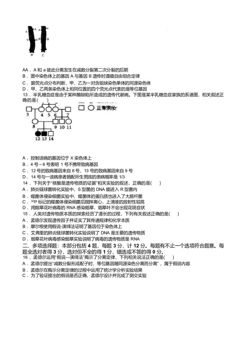 江苏省扬州市高邮市2024-2025学年高一下学期期中学情调研测试生物试卷（有答案）_2024-2025高一（7-7月题库）_2025年05月试卷_0523江苏省扬州市高邮市2024-2025学年高一下学期期中考试