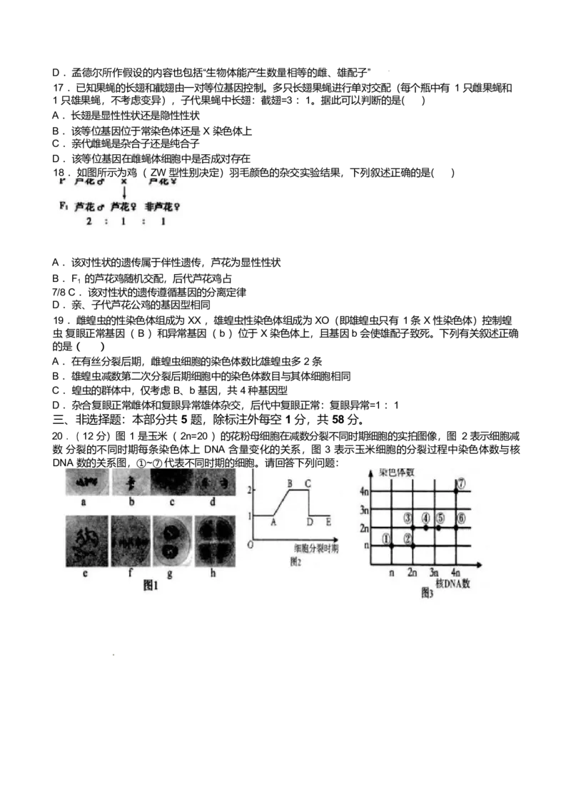 江苏省扬州市高邮市2024-2025学年高一下学期期中学情调研测试生物试卷（有答案）_2024-2025高一（7-7月题库）_2025年05月试卷_0523江苏省扬州市高邮市2024-2025学年高一下学期期中考试