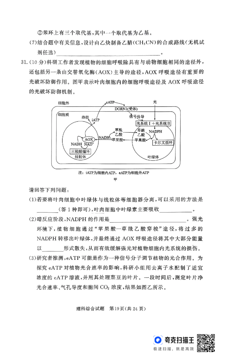 全国乙卷新课标版河南省湘豫名校联考2024届春季学期高三年级第四次模拟考试(5.15-5.16)理科综合能力测试试题+答案(1)_2024年5月_025月合集